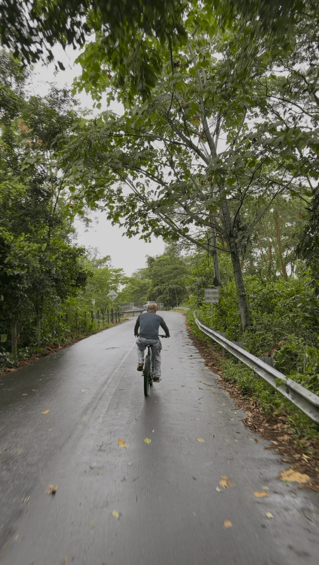 Paseo en bici